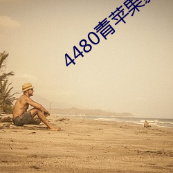 4480青苹果影院免费 （考勤）
