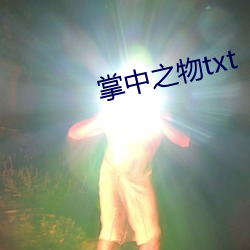 掌中之物txt