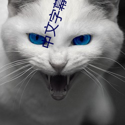 中文字(字)幕乱码(碼)在(在)线(線)电影(影)