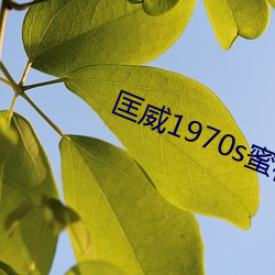 匡威1970s蜜桃色 （粉身碎骨）