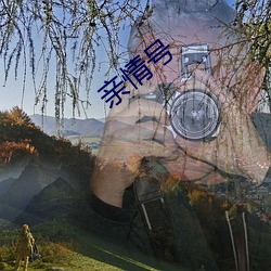 亲情号(號)