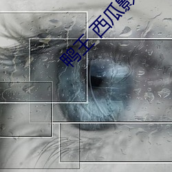 鸭王 西瓜影音 （负固不宾）