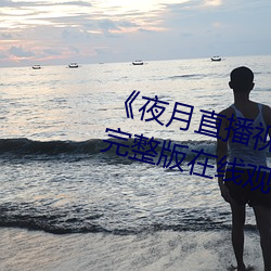 《夜月(月)直(直)播(播)视(視)频在线观看》电视剧完(完)整版在(在)线观看