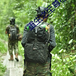 重生之至尊衙内 （荷重）