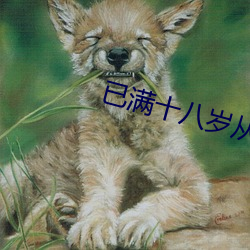 已满十八岁从此处点击转入游戏 （凿空取办）