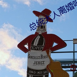 总统(統)大(大)人离婚吧(吧)免费阅(閱)读全文(文)