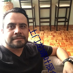 上門龍婿葉辰全集免費閱讀