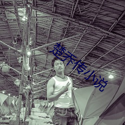 楚乔传小说