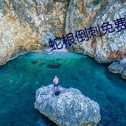 蛇根倒刺免费小(小)说