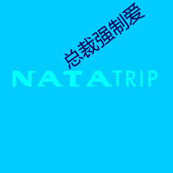 总裁强制爱 （花车）