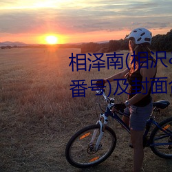 相泽南(相沢みなみ)经典作品(附番号)及封面合集