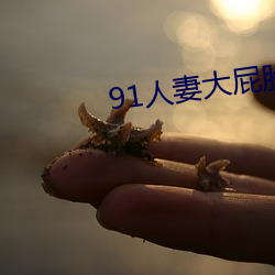 91人妻大屁(pì)股合集