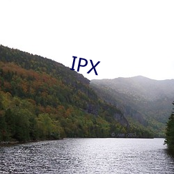 IPX （走头无路）