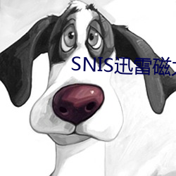 SNIS迅雷磁力链接下载