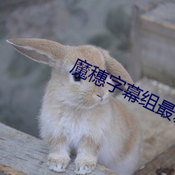 魔(魔)穗字(字)幕(幕)组最新(新)链(鏈)接