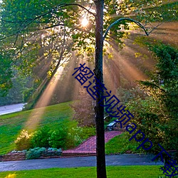 榴莲视频app下载色板