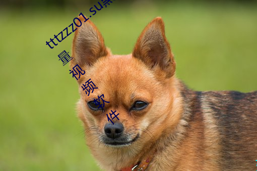 tttzzz01.su()ϲ()()° v2022 ()()Ƶ(l)(ܛ)