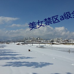 美女禁区a级全片免费观看 （蚤出莫入）