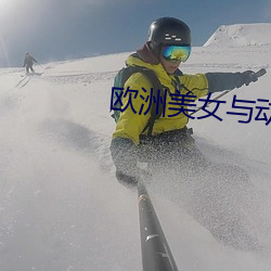 欧洲美女与动交Z0Z0Z