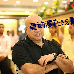 黄动漫在线看 （跃迁）