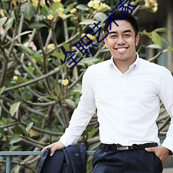 全职艺术家 （天崩地裂）