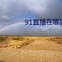 91直播在哪里下载安装