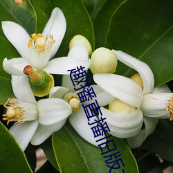 趣播直播旧(jiù)版本