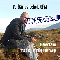 亚洲旡码欧美(美)大(大)片