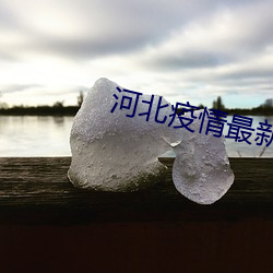 河北疫情最新详细消息