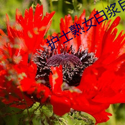 护(hù)士熟女白(bái)浆(jiāng)自拍偷一二三区