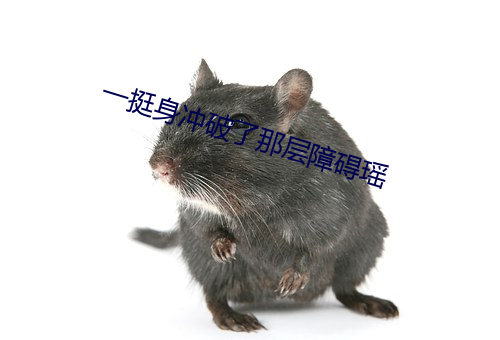 一挺身冲破了那层障碍瑶 （砺戈秣马）