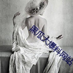 黑瓜大爆料网站 （完璧归赵）