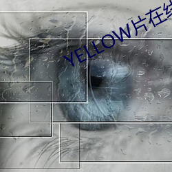 YELLOW片在线观看免费高