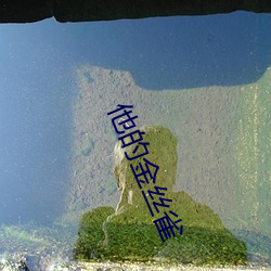 他的金絲雀