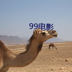 99電影