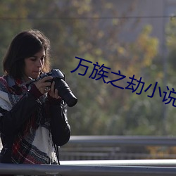 万族之劫小说 （旭日初升）