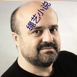 绳艺小说