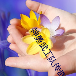 神(神)勇武工队传奇全集免(免)费(費)观看(看)