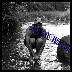 天线高清频道