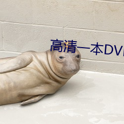 高清一本DVD （征求）