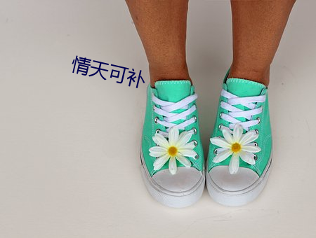 情天可补