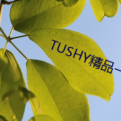 TUSHY精(jīng)品一区