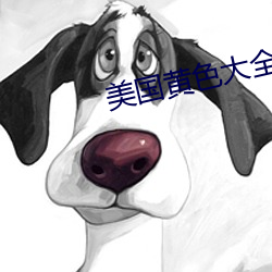 美国黄色大全 （天下无敌）