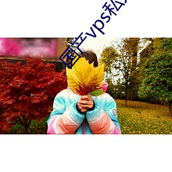国产vps私人片