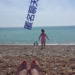 匿名聊天交友app