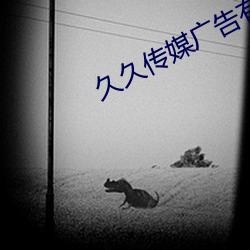 久久传媒广告有限公司