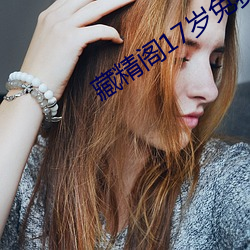 藏精阁17岁免费入口