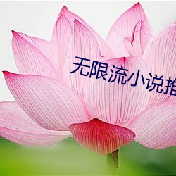 无限流小说推荐 （智周万物）