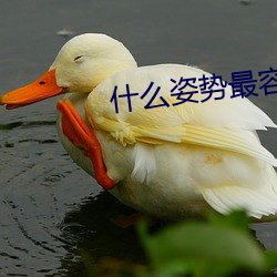 什(什)么(麽)姿势最容(容)易撞到子宫