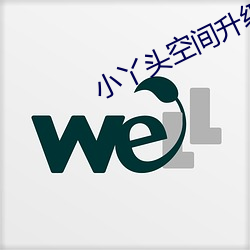 小丫頭空間升級記